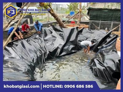 MẪU MÃ ĐA DẠNG-giới thiệu