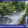 Bạt đậy gốc sầu riêng
