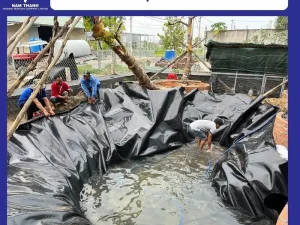 Bạt HDPE