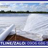 Cách chọn cho từng hạng mục