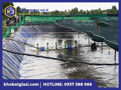 Cung cấp bạt làm hồ nuôi tôm