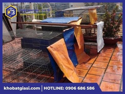 Hướng dẫn dùng bạt che chuồng gà